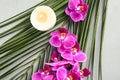 Flat lay composition with orchid  on grey stone surface Royalty Free Stock Photo