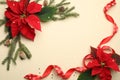 Flat lay composition with poinsettias traditional Christmas flowers and fir branches on beige background. Space for text