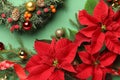 Flat lay composition with poinsettias traditional Christmas flowers and holiday decor on green background