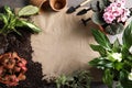 Flat lay composition with pots, home plants and gardening tools on grey background