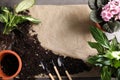 Flat lay composition with pots, home plants and gardening tools on grey background