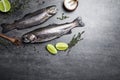 Flat lay composition with raw cutthroat trout fish on table Royalty Free Stock Photo