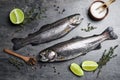 Flat lay composition with raw cutthroat trout fish on grey table Royalty Free Stock Photo