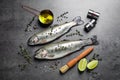 Flat lay composition with raw cutthroat trout fish on grey table Royalty Free Stock Photo