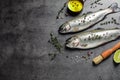 Flat lay composition with raw cutthroat trout fish on grey table, space for text Royalty Free Stock Photo
