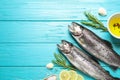 Flat lay composition with raw cutthroat trout fish on blue wooden table, space for text Royalty Free Stock Photo