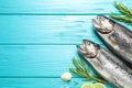 Flat lay composition with raw cutthroat trout fish on blue wooden table, space for text Royalty Free Stock Photo