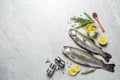 Flat lay composition with raw cutthroat trout fish on grey marble table, space for text Royalty Free Stock Photo