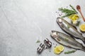 Flat lay composition with raw cutthroat trout fish on light grey marble table, space for text Royalty Free Stock Photo