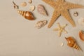 Flat lay composition with sea shells, starfishes and space for text Royalty Free Stock Photo