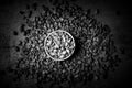 Flat lay composition of shelled peanut in a white bowl on a textured background in black and white