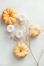 Flat lay composition of small pumpkins on a white background with decor Royalty Free Stock Photo
