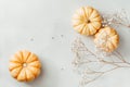 Flat lay composition of small pumpkins on a white background with decor Royalty Free Stock Photo