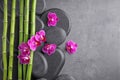 Flat lay composition with spa stones,  and orchid flowers on grey background. Space for text Royalty Free Stock Photo