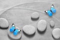 Flat lay composition with spa stones and butterfly on grey background Royalty Free Stock Photo