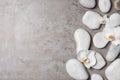 Flat lay composition with spa stones and orchid flowers on grey background Royalty Free Stock Photo