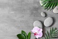 Flat lay composition with spa stones, orhid pink flower on grey background