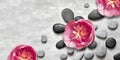 Flat lay composition with spa stones, pion pink flower on grey background Royalty Free Stock Photo