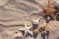 Flat lay composition with starfishes and seashells on sandy beach Royalty Free Stock Photo