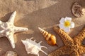 Flat lay composition with starfishes and seashells on sandy beach Royalty Free Stock Photo