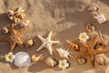 Flat lay composition with starfishes and seashells on sandy beach Royalty Free Stock Photo