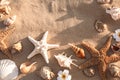 Flat lay composition with starfishes and seashells on sandy beach Royalty Free Stock Photo