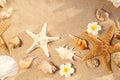 Flat lay composition with starfishes and seashells on sandy beach Royalty Free Stock Photo