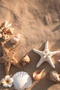 Flat lay composition with starfishes and seashells on sandy beach. Space for Royalty Free Stock Photo