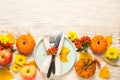 Flat lay composition with tableware, autumn fruits and vegetables on white background, space for text. Thanksgiving Day Royalty Free Stock Photo