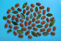 Flat lay composition with tasty pecan nuts and green leaves on light blue background Royalty Free Stock Photo