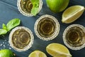 Flat lay composition with tequila shots, salt, lime slices and mint Royalty Free Stock Photo