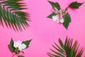 Flat lay composition with tropical and Hibiscus flowers on pink background Royalty Free Stock Photo