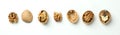 Flat lay composition with walnuts on white background Royalty Free Stock Photo