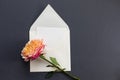 Flat lay composition with a white envelope, blank card and a peony rose flower on a grey background. Mockup for wedding or