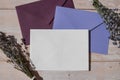 Flat lay composition of white paper greeting card on envelope with dry lavender flowers. Copy space template mock up Royalty Free Stock Photo