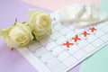 Flat lay composition with white roses and menstrual tampons and pad packs on menstruation period calendar and blue pink and lilac