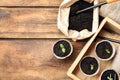 Flat lay composition with young seedlings on table. Space for text