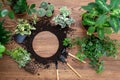 Flat lay with copy space and set of gardening object, flowers in pots lying on wooden table