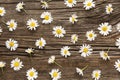 flat lay daisies arrangement wood. High quality photo