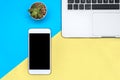 Flat lay design with blank on smart phone. Device laptop and plant on a yellow and blue background. Minimalist concept