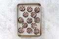 Chocolate cookies with peppermint chips Royalty Free Stock Photo