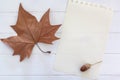 Flat lay of dry autumn leaf, acorn and blank page with copy space