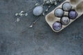 Flat lay Easter composition with willow branch and egg on dark gray textural background Royalty Free Stock Photo