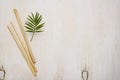 flat lay eco friendly environment bamboo tube straws. High quality photo