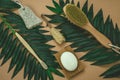 eco friendly spa kit, massage brush, bamboo toothbrush, pumice, wooden comb, natural soap, loofah sponge Royalty Free Stock Photo