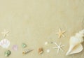 .Flat lay essentials accessories for travel to beach trip.Variety shell on white sand sea. Royalty Free Stock Photo