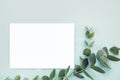 Flat lay eucalyptus branches and blank white sheet on blue background, top view. mock up