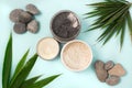 flat lay: face care cosmetic and natural elements like stones and green branches