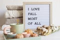 Flat lay with felt letter board and text I love fall most of all. Autumn table decoration Royalty Free Stock Photo