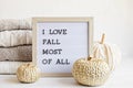 Flat lay with felt letter board and text I love fall most of all. Autumn table decoration Royalty Free Stock Photo